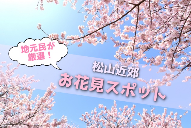 お花見情報 愛媛 松山周辺で子供も楽しめる桜満開スポット厳選５つ