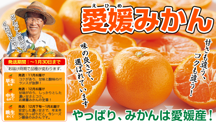 愛媛みかん,のま果樹園