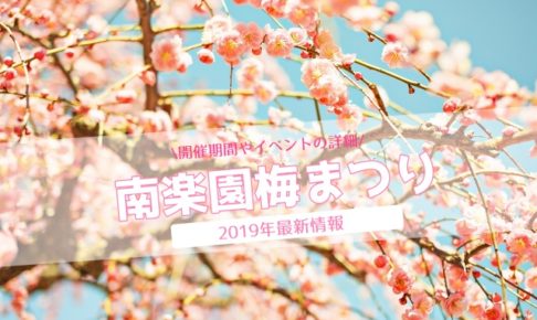 愛媛の梅まつり 梅見所全8箇所総まとめ 開催期間や見所を地元民がご紹介