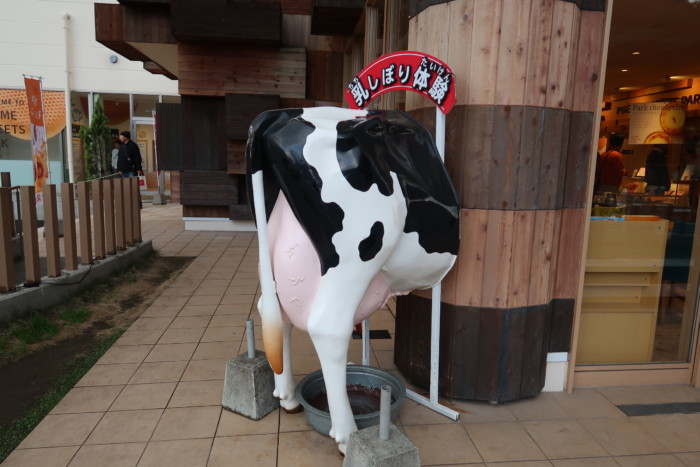 母恵夢スイーツパークで体験できる牛の乳搾り