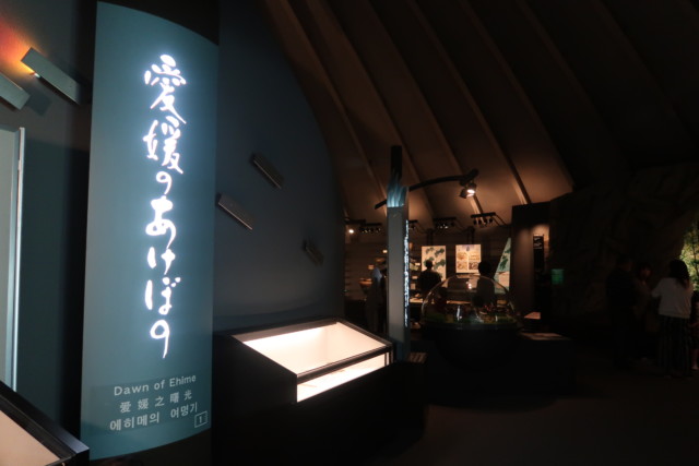 愛媛歴史博物館の常設展の様子