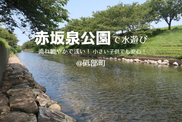 赤坂泉 砥部町 浅く流れ緩やかな川 小さい子供でも水遊びok