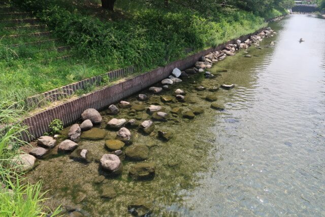 赤坂泉公園（砥部町）の川の様子
