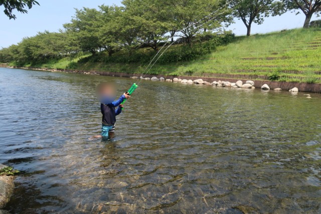 赤坂泉公園（砥部町）の川で遊ぶ子供