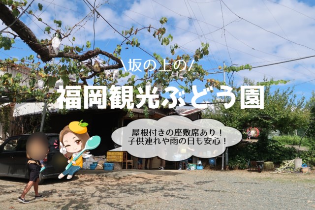 福岡ぶどう園の口コミ 内子 小さい子供連れも安心な座敷席あり