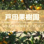 戸田果樹園,みかん狩り