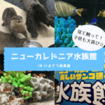 高島屋,水族館